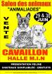 Salont du chiot et du chaton 29 et 30 juin cavaillon - Miniature