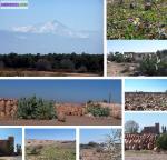 Terrains a tamesloht - Miniature