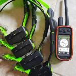 Garmin colliers tt15 dressages - Miniature